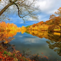 Lake reflection