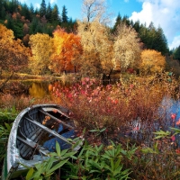 Autumn Lake