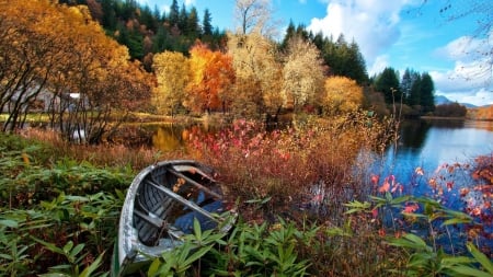 Autumn Lake - Autumn, Boat, Lake, Nature