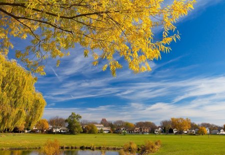 Autumn in the village