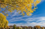 Autumn in the village