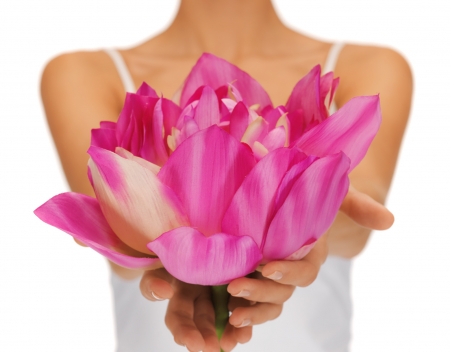 For you! - lotus, hand, woman, flower, pink