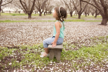 little girl - dainty, pretty, Photography, pink, pure, child, fair, field, face, nice, bonny, kid, childhood, Princess, set, beauty, baby, hair, Belle, comely, white, seat, cute, wallpaper, people, blonde, DesktopNexus, sightly, beautiful, girl, cool, lovely, sweet, tree, little, adorable