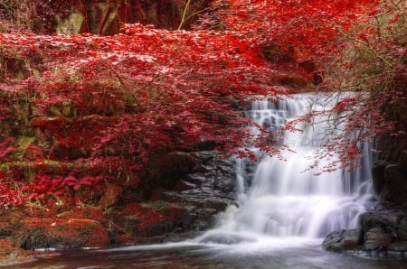 Waterfall in autumn forest - branches, autumn, trees, cascades, waterfall, fall, forest, beautiful, leaves