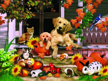 Autumn on the porch - pumpkins, sweet, home, fall, porch, funny, autumn, halloween, cute, thanksgiving, friends, adorable, yard, puppy, animals, kitty