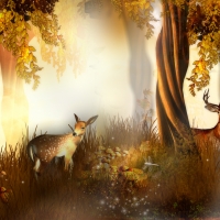 Deer Autumn Lights