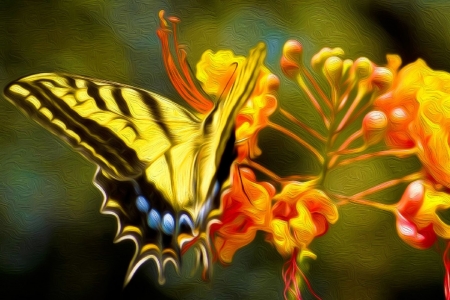 Autumn Paint - flowers, enchanting, painting, butterfly