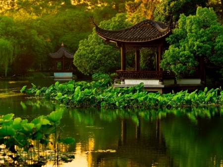 Lotus Pond,China - lotus, trees, nature, pond, garden, forest, pagoda