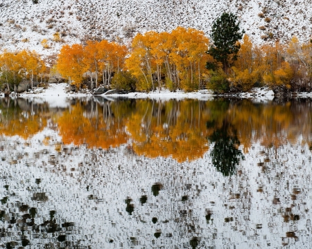 Early Fall - lake, bishop, winter, mountains, creek, nature, fall, forest, canyon, reflected, tree