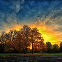 Autumn Landscape