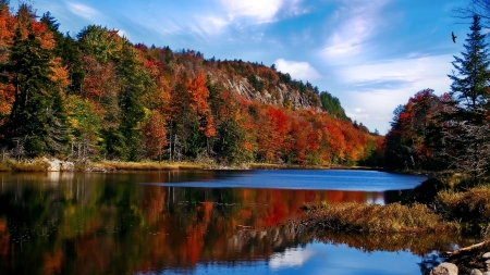 Autumn Lake in the Adirnacks - clouds, trees, nature, autumn, lake, forest, reflection