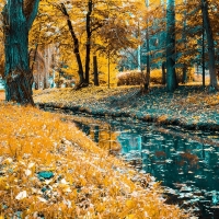 River in Autumn