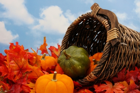 Autumn - sky, autumn, fall, clouds, leaves, basket, gourds