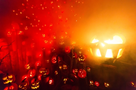 Many Lighted Jack-O-Lanterns - halloween, nature, pumpkins, autumn, holidays, fall, lights