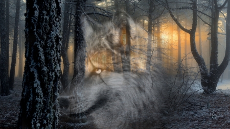 Wolf Spirit