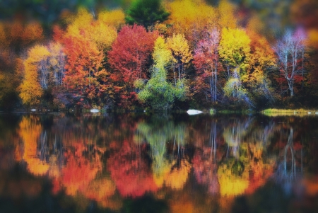 Lake Reflection - Lake, water, reflection, autumn