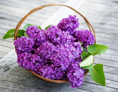 Flowers - basket, Flower, nature, leaf