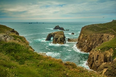 Ocean - nature, water, ocean, tree