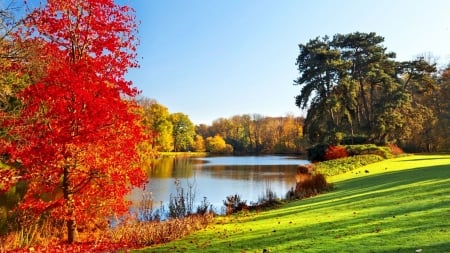 Riverside Autumn - fall, trees, season, landscape, colors