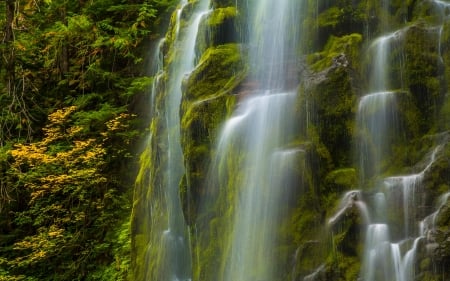 Waterfall - ocean, nature, tree, Waterfall