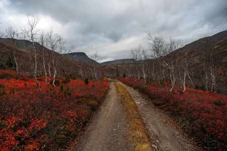 Dirt Roadside Autumn Landscape