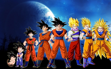 DBZ - Evolution Of Goku