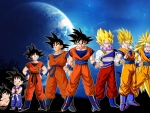 DBZ - Evolution Of Goku