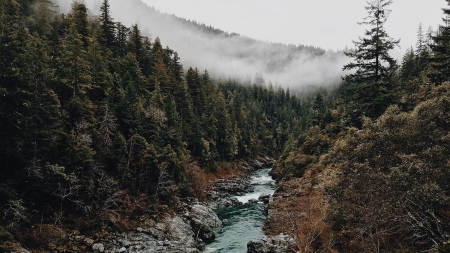 River - snow, River, nature, tree