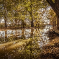 Fall Forest River Reflection