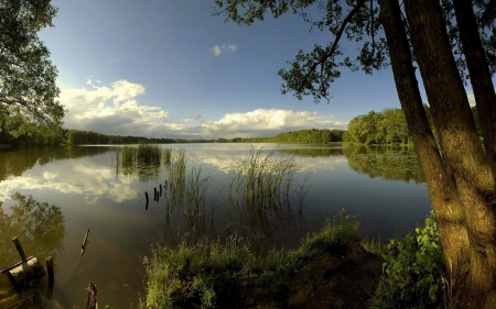 The quiet waters - water, clouds, reeds, river