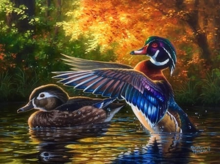 Trying to Impress - paintings, autumn, colors, fall season, lakes, ducks, love four seasons, animals