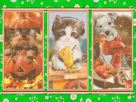 Yorkie,Tammy and Schnauzer - headphones, dogs, cat, pineapple, collage, halloween, leaves, apples, pumpkin, autumn, scarf
