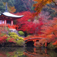 Autumn in Japan