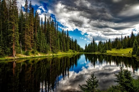 Lake Irene - forest, water, landscape, colordo, wood, lake, sky, reflection, clouds, nature