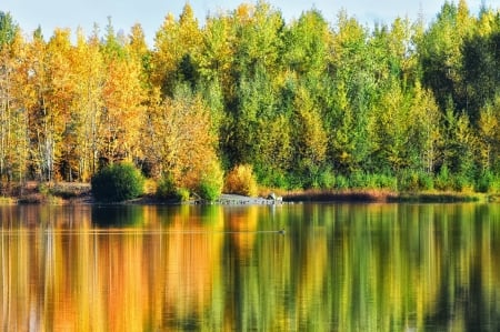 Quiet Reflection - calm, trees, wilderness, tranquil, forest, reflection, colorful, nature, autumn, lake