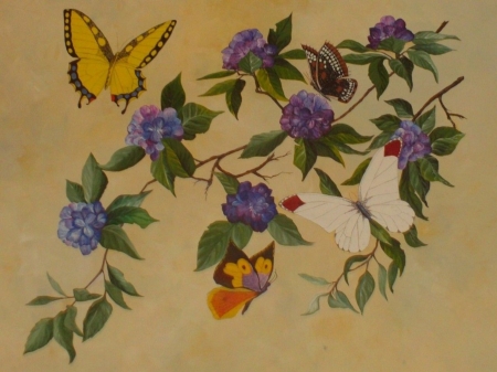 BUTTERFLIES - wings, flowers, animals, butterflies