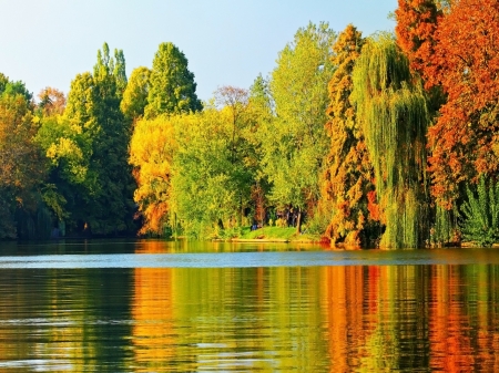 Autumn Forest and River - nature, autumn, lake, landscape, trees, forest, river