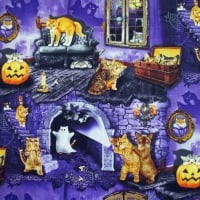 Halloween Cat House