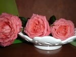 Romantic Roses