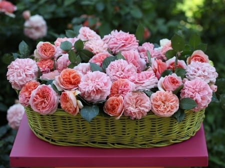 Basket of Flowers - Pink, Basket, orange, Flowers