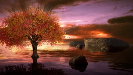 Autumn Sunrise - clouds, sunlight, Autumn, water, Fall, sunrise, ripples, leaves, tree, sunrays, rays, cliffs, lake, sky, rocks