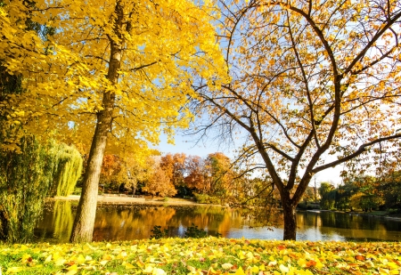 Lakeside Autumn - season, fall, trees, leaves, colors