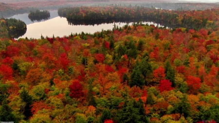 autumn mountain - colors, mountains, autumn, glory