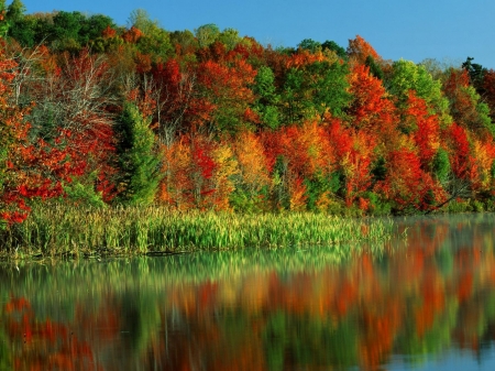 autumn's glory - colors, lake, autumn, many