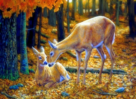 autumn innocence - natures, deer, beautiful, autumn