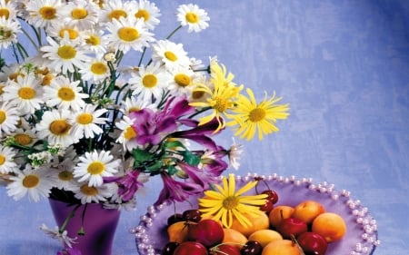 DAISIES - vase, petals, colors, fruit