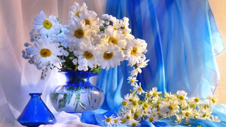 DAISIES - leaves, water, petals, vase