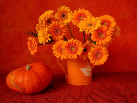 FLOWERS - orange, stems, petals, pumpkin