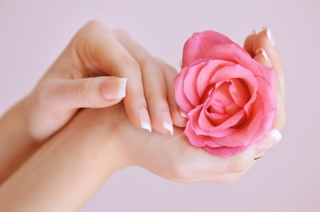 * - flower, pink, abstract, hands