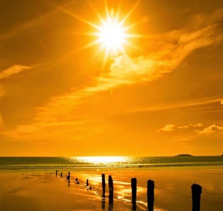 Gold Sunset - nature, beaches, photography, beauty, gold, sunsets, sun